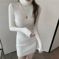 Chic Autumn Winter Turtleneck Sweater Dress - Long Sleeve, Skinny Fit, Casual Mini Dress for Women
